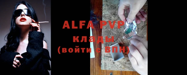 стафф Алзамай