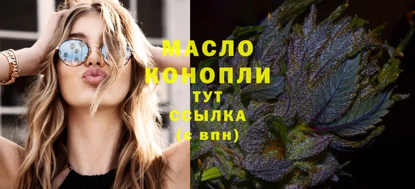 гашик Новодвинск