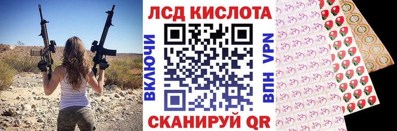 kraken как войти  Шадринск  Марки NBOMe 1,8мг 
