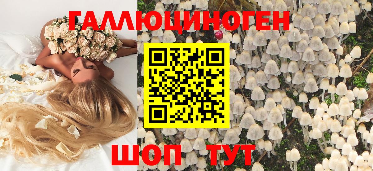 Псилоцибиновые грибы Psilocybe  где найти наркотики  Шадринск  Вход с VPN 